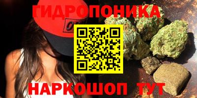дмт Малгобек