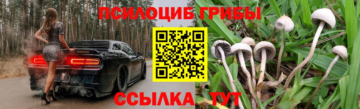 Псилоцибиновые грибы Magic Shrooms  Вход с VPN  Великий Устюг 