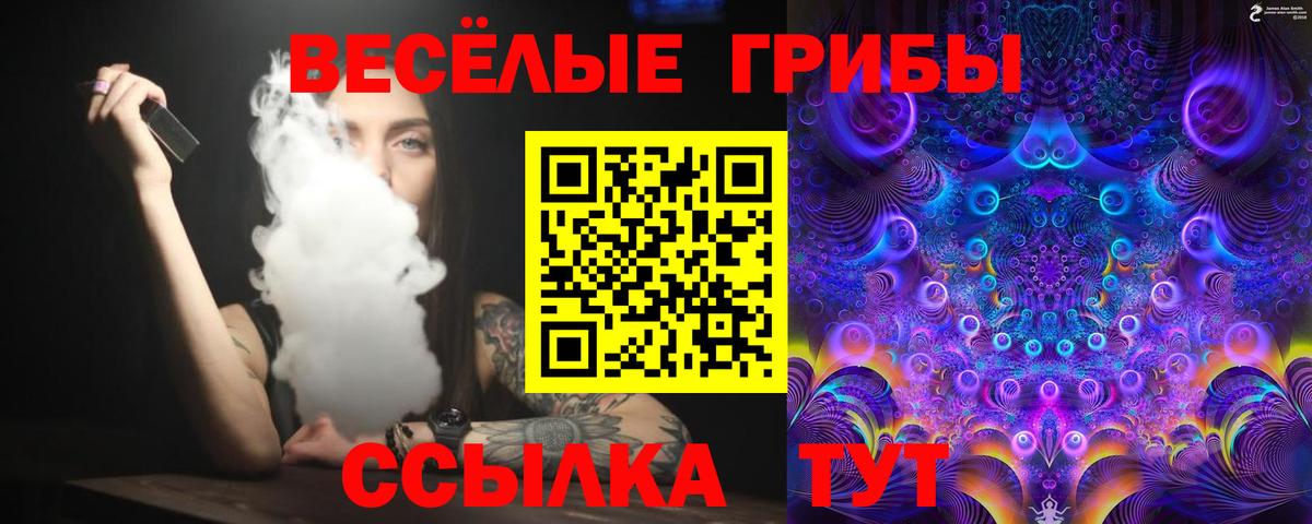Псилоцибиновые грибы мухоморы Великий Устюг
