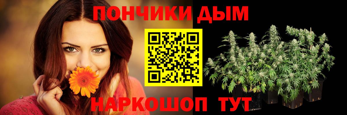 Бошки марихуана семена  Вход с VPN  Каннабис индика  Великий Устюг 